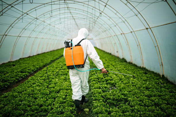 Best Affordable Pest Control Services  in Jacksonville, OR
