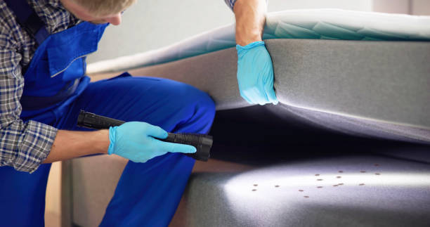 Best Pest Prevention Services  in Jacksonville, OR